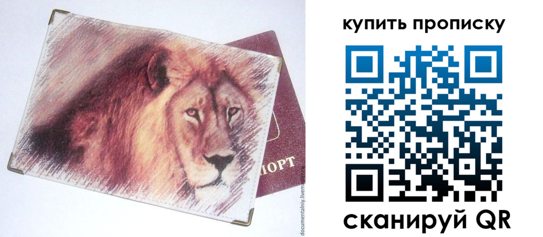 прописка паспорт в Куртамыше